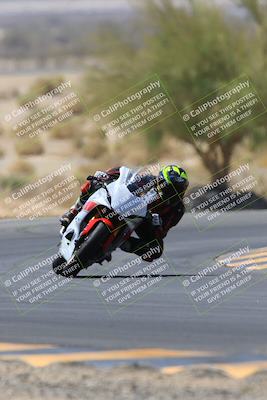 media/May-14-2023-SoCal Trackdays (Sun) [[024eb53b40]]/Turn 5 Tree of Life (1125am)/